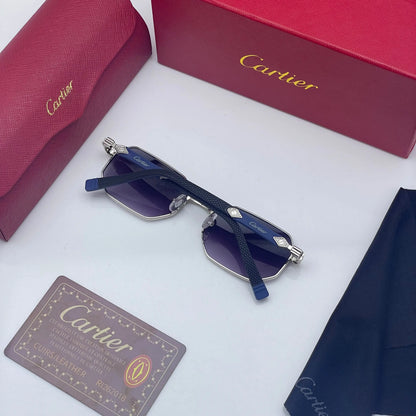 Cartier 8171 Silver Black Shaded