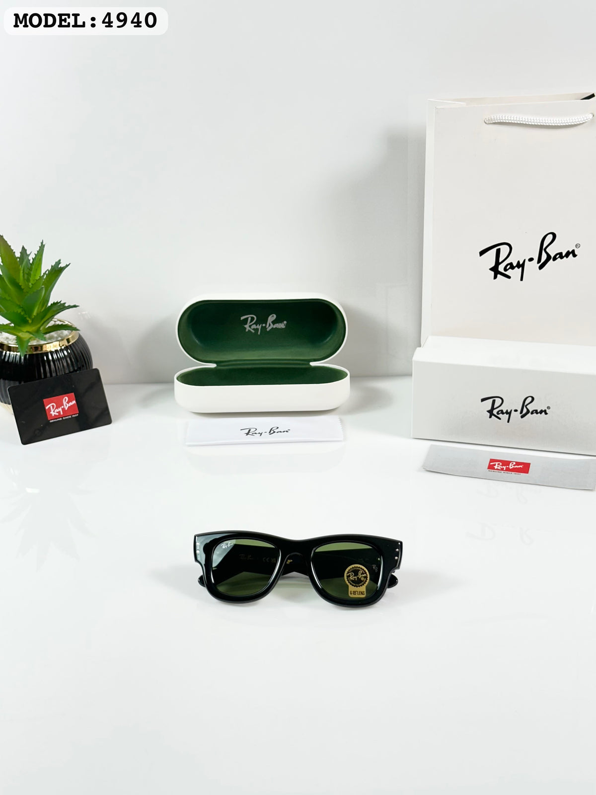 RB 4930 Black/Green