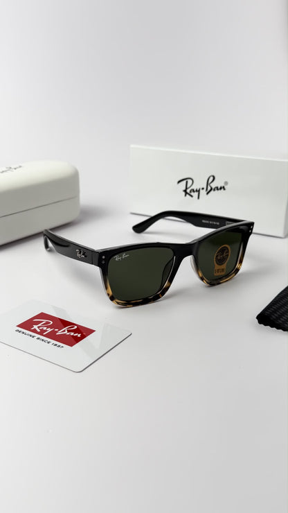 Raybann 0502 Black tiger
